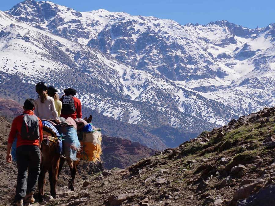 Mount Toubkal Trek 2 Days & 1 Night - Price and logistics: does $151 feel worth it?