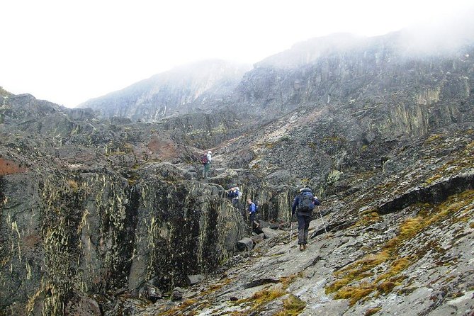 Mountain Rwenzori Trekking Uganda 9 Day Safari - Days 7–8: Freshfield Pass, Kabamba shelters, and the way back down