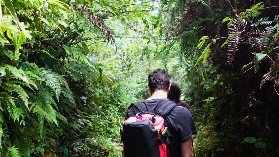 Mountain Views And Villages Trek - Key things I’d circle before you go