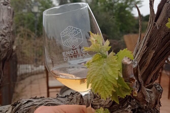 Mt. Etna trekking and Wine tasting - From Syracuse - Price and value: what you really pay for at $171.60