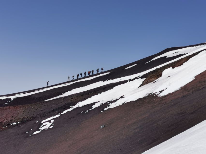 Mt Etna: Winter Trekking Tour with Optional Catania Transfer - The Black Larch Pine Forest and Etna’s Winter Plants