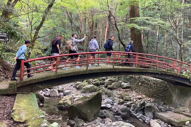 Mt. Inunaki Trekking and Goma Prayer Experience in Osaka - Key highlights worth marking on your plan
