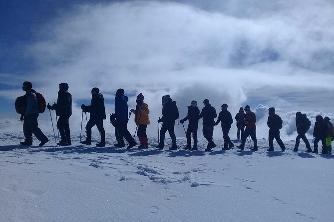 Mt Kilimanjaro 360° Trek with Once-in-a-Lifetime Crater Camping - Moir Valley to Buffalo Ridge: Northern Slopes, Plains Views, and a Steadier Pace