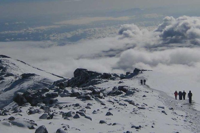 Mt Kilimanjaro Trek, 6 Days - Umbwe Route - Why the Umbwe Route feels tougher (and more satisfying) than the crowdier options