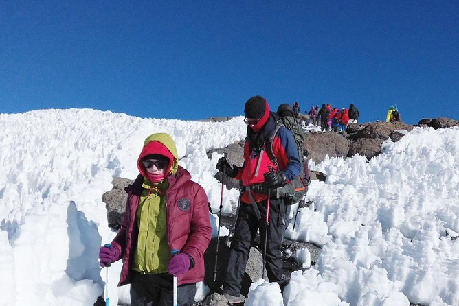 Mt Kilimanjaro Trek, 6 Days - Umbwe Route - The crew matters: guides, porters, cook, and the Wence factor