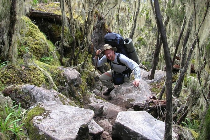 Mt Kilimanjaro Trek, 6 Days - Umbwe Route - Day 1: Umbwe Gate to the first high camp rhythm (rain forest start)