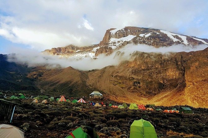 Mt Kilimanjaro Trek, 6 Days - Umbwe Route - Day 2: Open moorland, fewer trees, and the push toward Barranco Camp