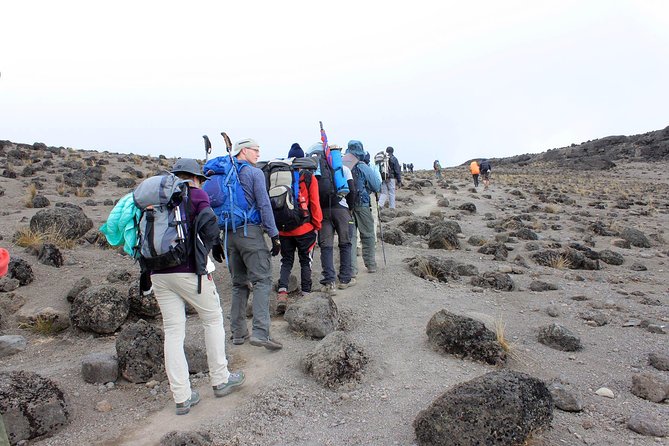 Mt Kilimanjaro Trek, 6 Days - Umbwe Route - Day 5: Midnight summit push, Stella Point on the crater rim, and the sunrise moment