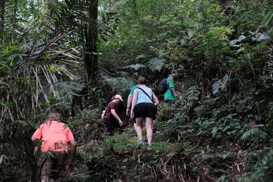 Mt. Merapi Majesty: Soft Trek and Botanic Village Tour - A Gentle Merapi Trek From Yogyakarta Without The Big-Adventure Hassle