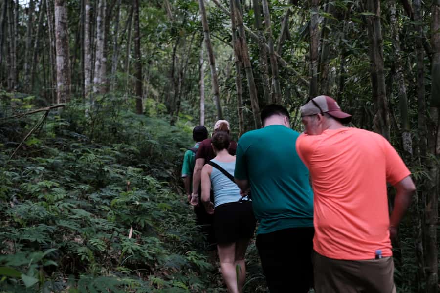 Mt. Merapi Majesty: Soft Trek and Botanic Village Tour - Your Guide Team: English Speaking Driver-Tour Manager and Soft-Trek Local Guides