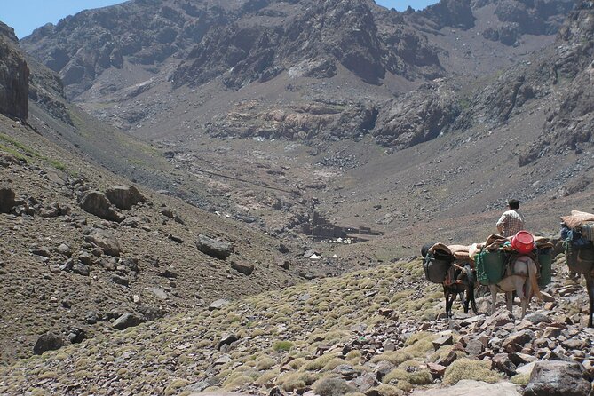 Mt Toubkal Ascent Express Trek 2 Days 1 Night - Early Ascent to the Summit: Cirque Routes and Scree Fields