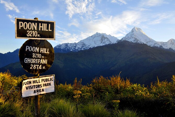 Multi-Day Sites of Nepal Tour from Kathmandu with Poon Hill Trek- 9 Days - Tadapani to Ghandruk: forests to village atmosphere