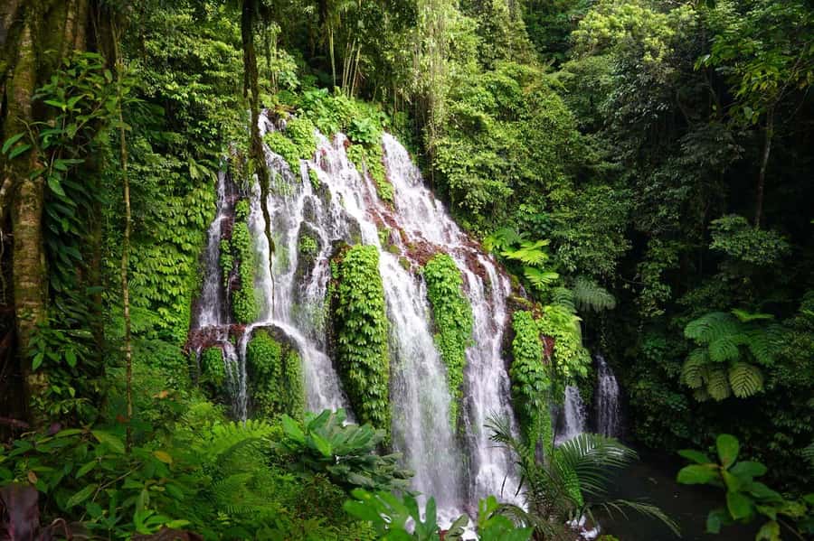 Munduk: Banyu Wana and Sekumpul Waterfall Trekking Tour - Munduk to Sekumpul: the real vibe of this 7–10 hour trek