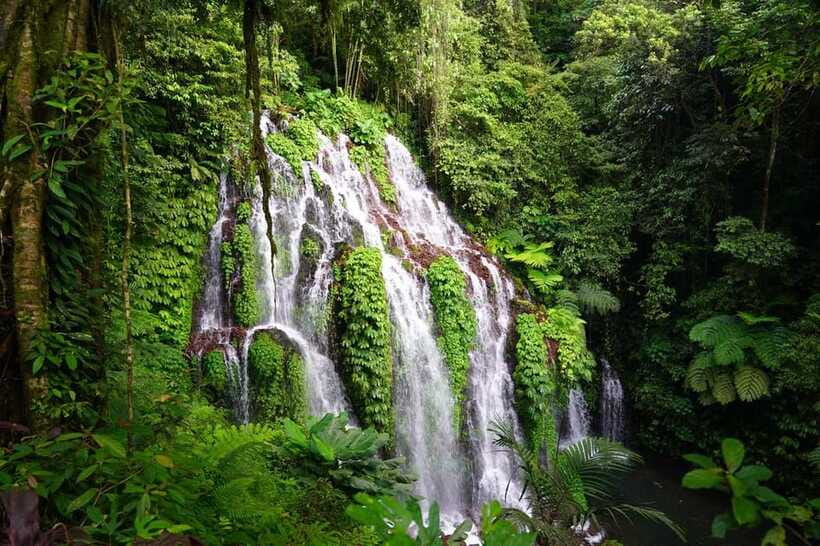 Munduk: Banyu Wana and Sekumpul Waterfall Trekking Tour - Jungle hike to Banyu Wana Amerta: mist, shade, and the swim stop