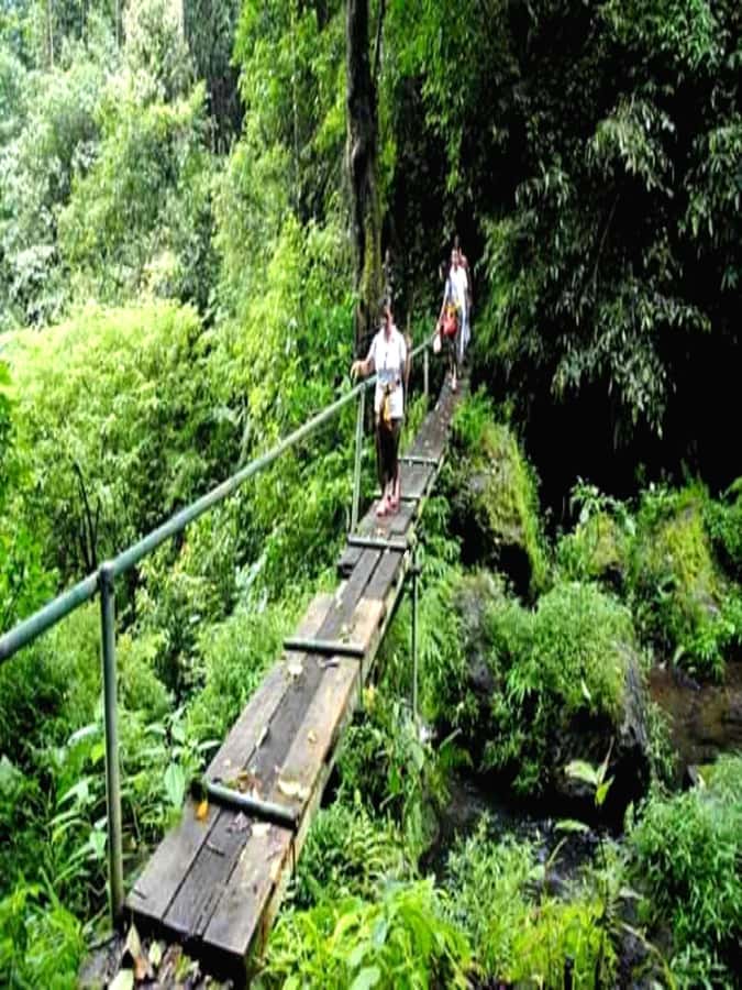 Munduk Jungle Trek to Banyumala & Pucak Manik – Private - Wanagiri Pucak Manik Waterfall: Views First, Then the Quiet Cascade