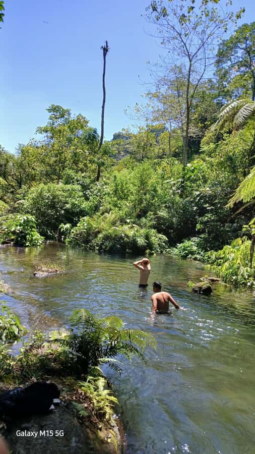 Munduk Jungle Trek to Banyumala & Pucak Manik – Private - Jalan Tirta Kuning: A Brief Walk With Scenic Payoff