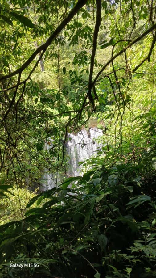 Munduk Jungle Trek to Banyumala & Pucak Manik – Private - Banyumala Twin Waterfalls: Where the Swim Pool Makes the Trek Worth It