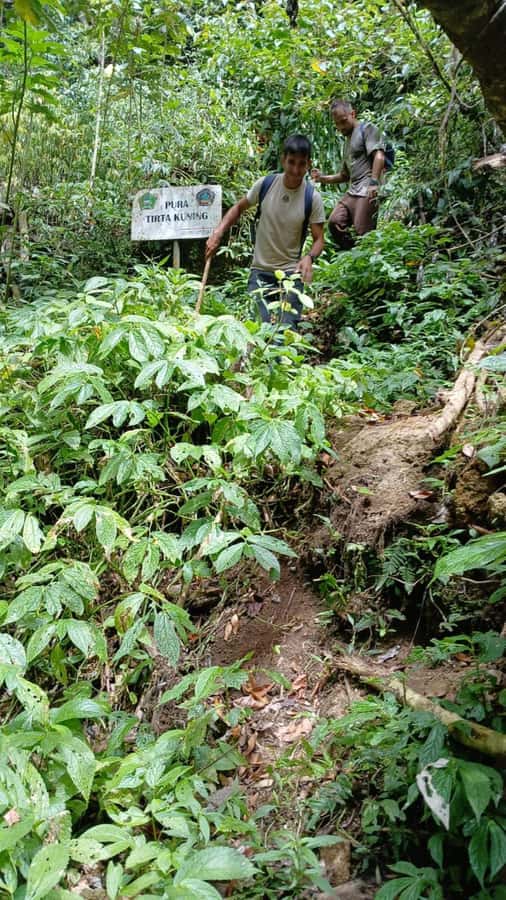 Munduk Jungle Trek to Banyumala & Pucak Manik – Private - Lunch at De Koffie–Wanagiri: Local Food, Not a Placeholder Meal
