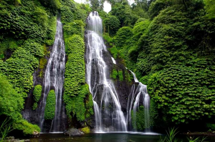 Munduk Jungle Trek to Banyumala & Pucak Manik – Private - Who This Experience Fits Best
