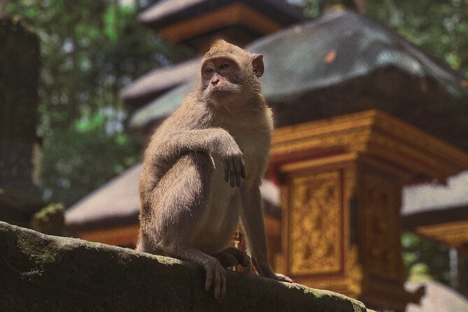 Munduk: Tamblingan jungle trek, waterfall, Ulun Danu temple - Getting from Ubud to Munduk: a full day with real transportation