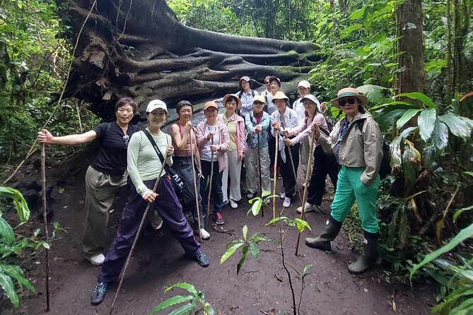 Munduk Twin Lake Jungle Trek with Sacred Forest Temples&Canoeing - The rainforest trek: 1.5 hours of real nature time