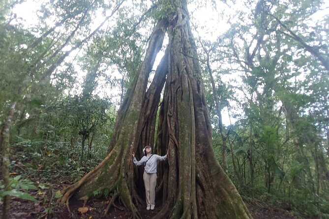 Munduk Twin Lake Jungle Trek with Sacred Forest Temples&Canoeing - Twin Lake viewpoints: the payoff after the trees