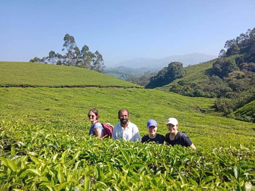 Munnar: Half day Guided Trek - Why Lekshmi Hills Works So Well in 4 Hours