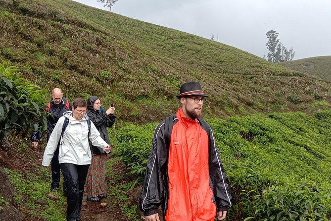 Munnar Letchmi hills Trekking - Munnar Letchmi Hills Trekking: a relaxed half-day with tea views