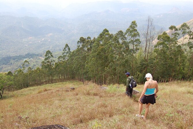 Munnar Letchmi hills Trekking - Private tour time: ask questions about tea and wildlife