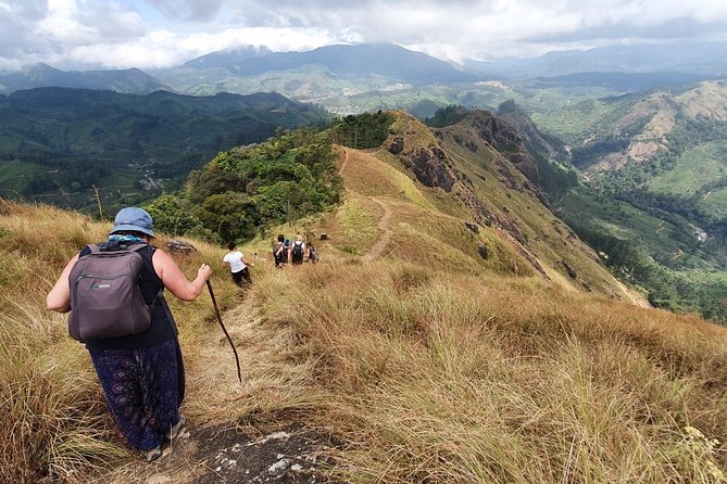 Munnar Mountain Trekking - Private Day Hike in Munnar’s Tea, Forest, and Spice Country