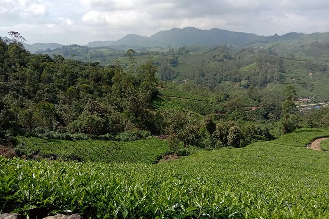 Munnar Mountain Trekking - Price and logistics: what you’re paying for, and what you still must handle