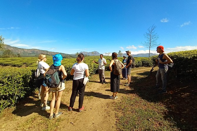 Munnar Mountain Trekking - Who should book this trek in Munnar, and who might want a different day