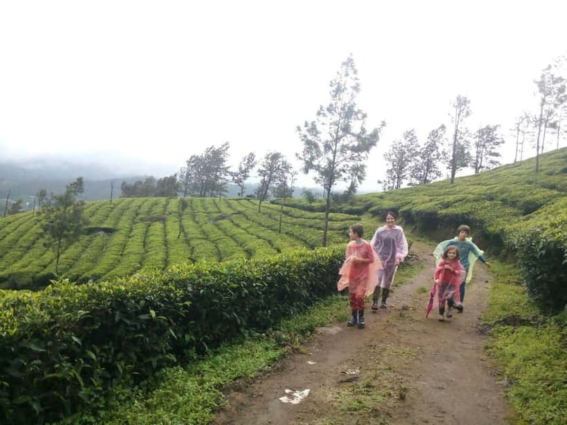 Munnar: Sunrise Trekking Adventure with Breakfast - Quick hits