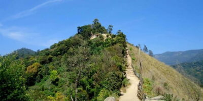 Munnar: Sunrise Trekking Adventure with Breakfast - From Anish Home Stay to the 1550 m start: pacing and altitude