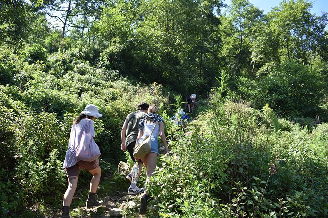 Muong Hoa Valley View & Village Trek in Sapa 1 Day - Ham Rong Mountain: dragon-jaw views over Sapa and the Hoang Lien Son range
