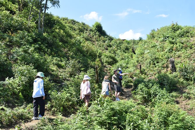 Muong Hoa Valley View & Village Trek in Sapa 1 Day - Hang Da Village at 1800+ meters: cloud hunting with a gentle climb