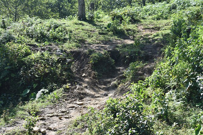 Muong Hoa Valley View & Village Trek in Sapa 1 Day - Hau Thao: rice terraces, bamboo forest edges, and the sea of white clouds