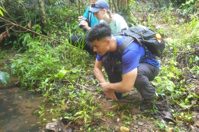 My Son sanctuary and mountain trekking - Light Breakfast, Coffee, and the Shift to Jungle Walking