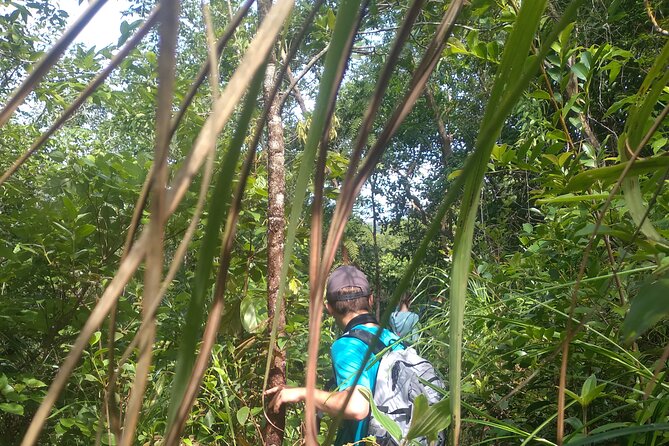 My Son sanctuary and mountain trekking - The Trek Itself: Hidden Paths, Streams, and Real Quiet