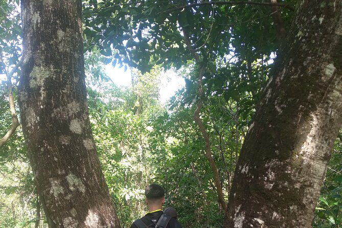 My Son sanctuary and mountain trekking - Included Value: What the $59 Actually Covers