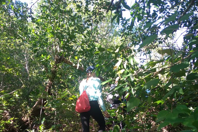 My Son sanctuary and mountain trekking - Getting the Timing Right: How the Day Flows