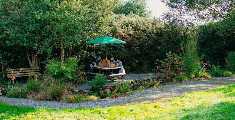 N. Ireland: Award Winning Guided Scenic Alpaca Trekking - Photo stops and the guided rhythm
