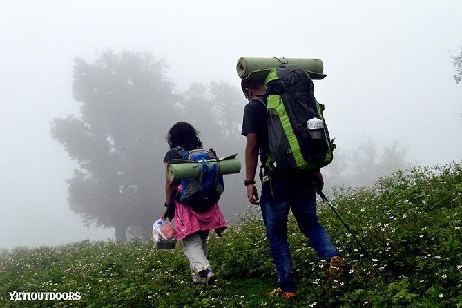 Naag Tibba Trek - Nag Tibba summit day: early start, big payoff, and a clear turnaround