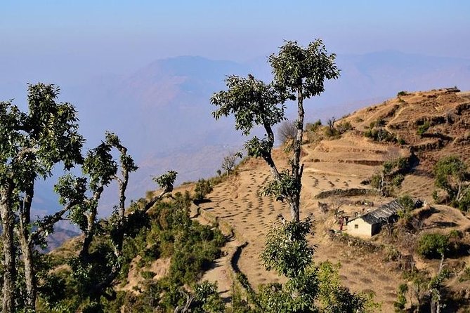 Nag Tibba 2 Days Trek (Pantwari to Pantwari) - Who This Trek Suits (and Who Might Want a Softer Weekend)