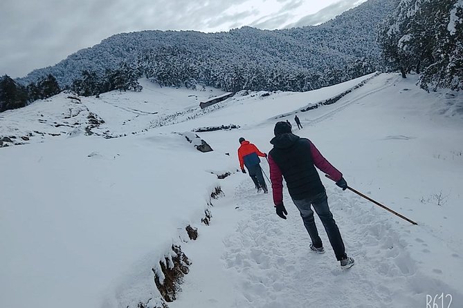 Nagtibba Trek (Dehradun to Dehradun) - Quick hits before you go