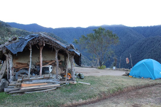 Nagtibba Trek (Dehradun to Dehradun) - Guides and group size: why 16 people changes the feel
