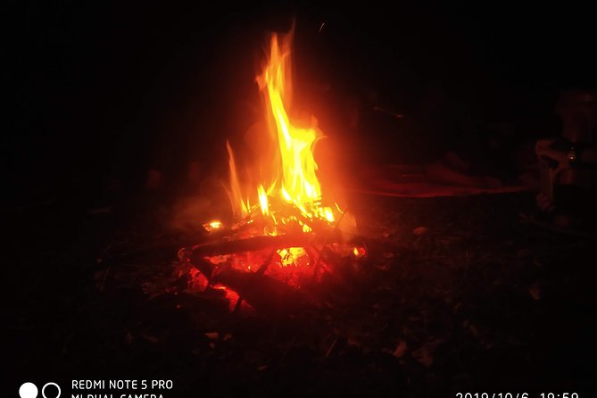 Nagtibba Trek (Dehradun to Dehradun) - Price and value: what you’re paying for (and what you aren’t)