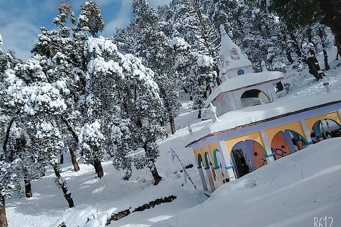 Nagtibba Trek (Dehradun to Dehradun) - Who should book this trek (and who should adjust expectations)