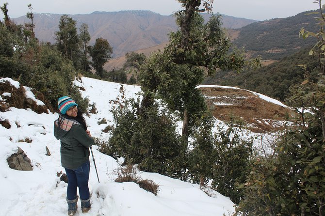 Nagtibba Trek (Pantwari to Pantwari) - The Day 1 rhythm: reach Nag Tibba, then settle in