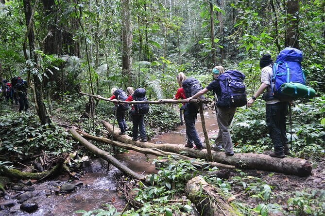Nalan Trail and Khmu Tribe: 2 Days Trek in Nam Ha NPA - Key highlights you should care about